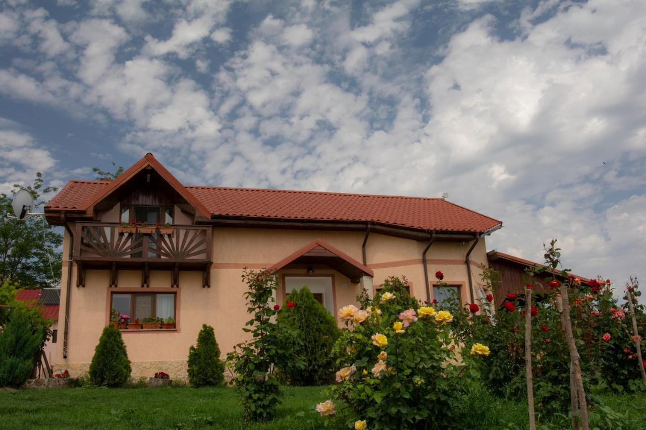 Casa Lac De Verde Băltenii de Sus Zewnętrze zdjęcie
