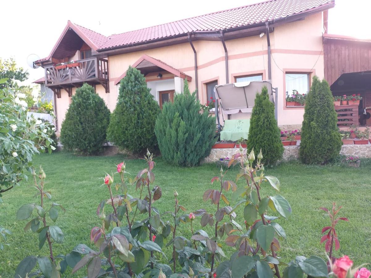 Casa Lac De Verde Băltenii de Sus Zewnętrze zdjęcie